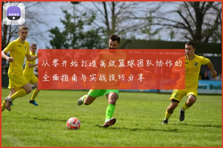 从零开始打造高效篮球团队协作的全面指南与实战技巧分享