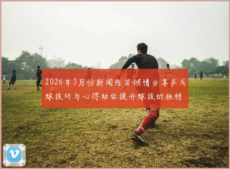 2026年3月份新闻陈芳倾情分享乒乓球技巧与心得助你提升球技的独特之道